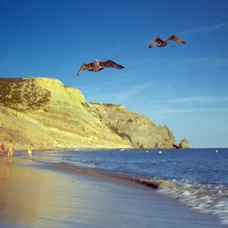 アパート B65 - Casa Le Ferreira In Da Luz