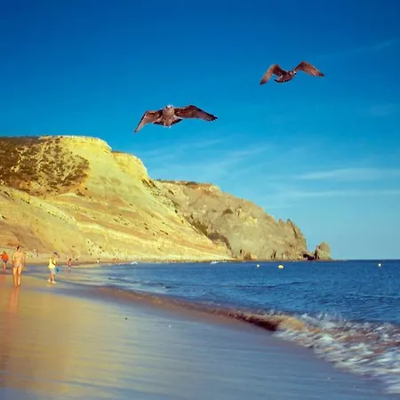 B65 - Casa Le Ferreira In Da Apartment *