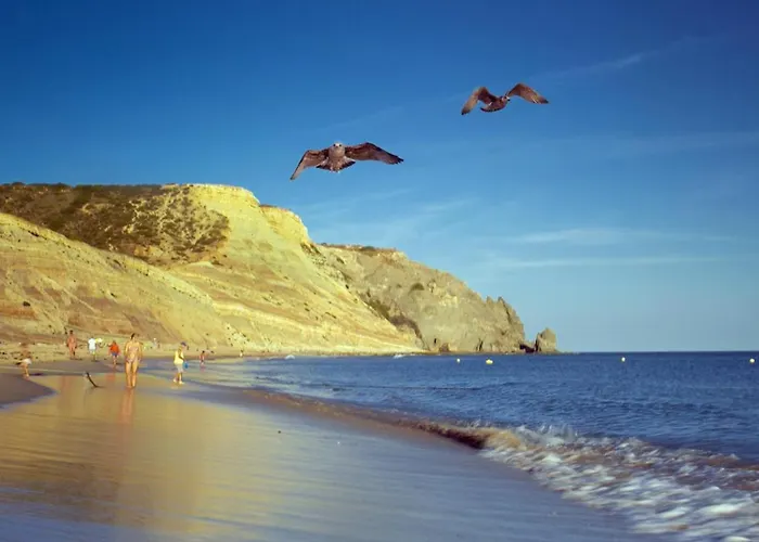 Διαμέρισμα B65 - Casa Le Ferreira In Da Luz